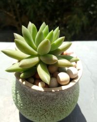 one